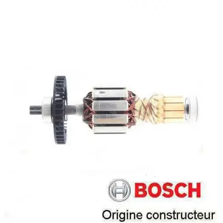 induit Bosch 1619P14346