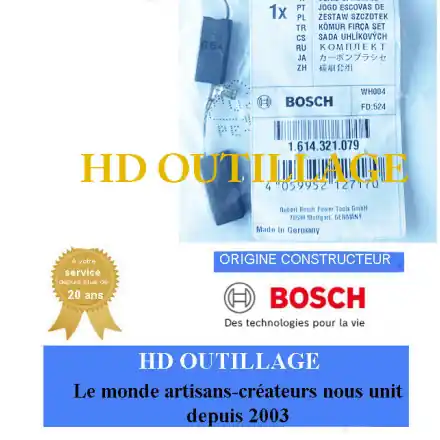 jeu de charbons Bosch 1614321079