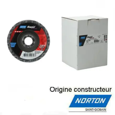10 disques rapid blend 125x13x22 mm Norton F2303