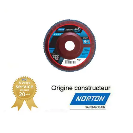 10 disques à lamelles 125x22mm Gr60 Norton EASYTRIM