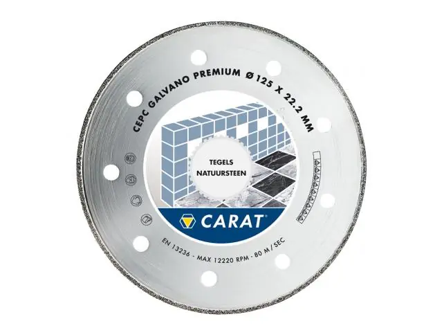 Carat CEPC100300 Lame diamantée GALVANO PREMIUM 100x22,2MM, TYPE CEPC