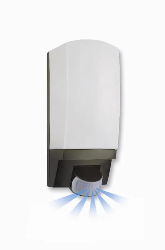 Steinel 650612 L1 Noir lampe capteur
