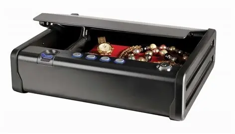 Masterlock MLD08EB Coffre-fort numérique biométrique compact avec clé et câble