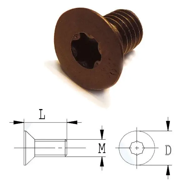 GRN Tools 990.A06.00 Boulon torx conique M5x9x8
