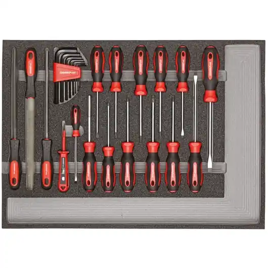 Gedore RED 3301683 R22350002 Jeu de tournevis et de limes 26 pièces