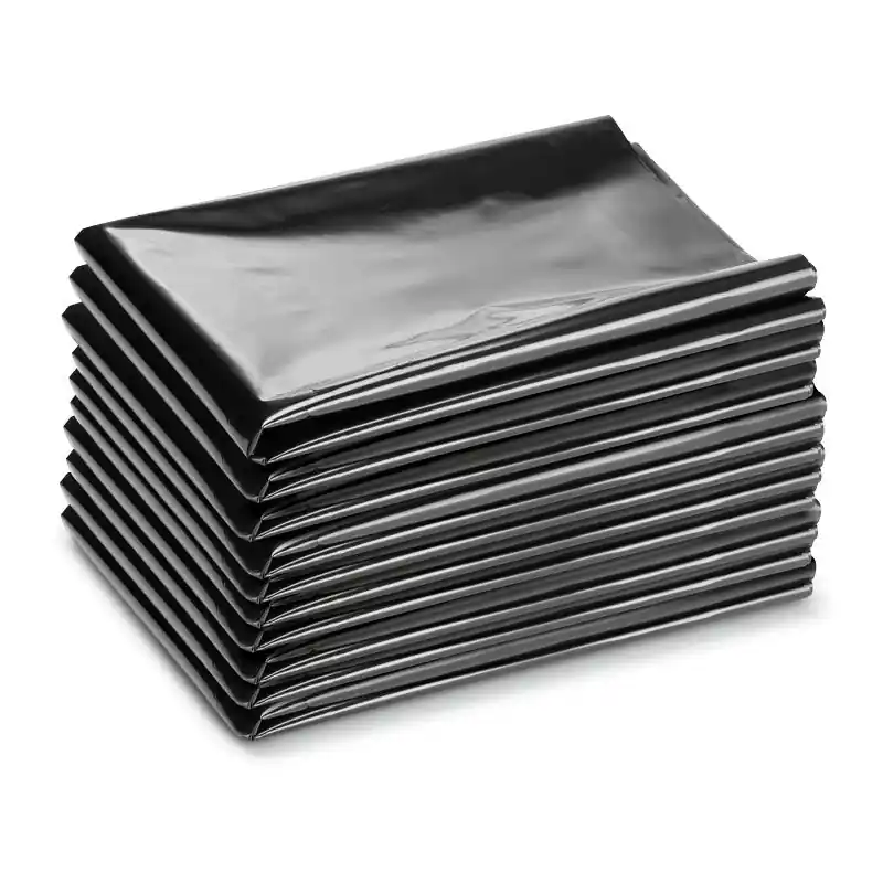 Kärcher Professional 2.889-158.0 Sac en plastique