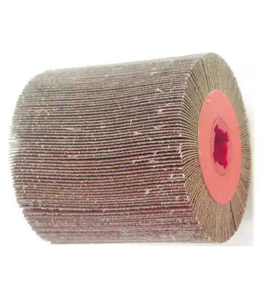 Eibenstock 12.353.02 Brosse à poncer Ø 100 x 100 mm - grossière (K60) set de 4 pièces