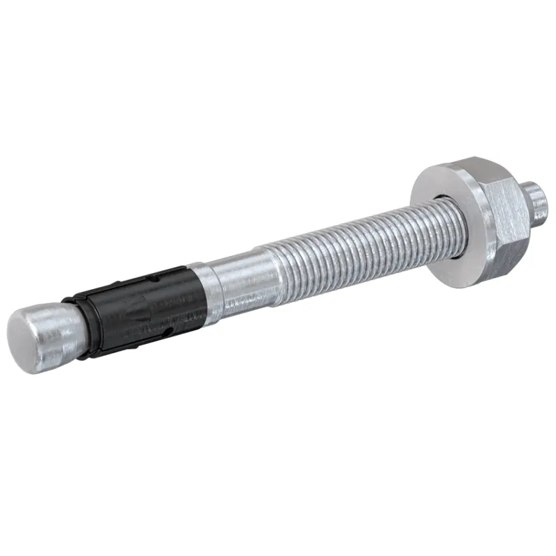 Fischer 95864 Ancre de perforation FAZ II 16/50 acier galvanisé électrolytiquement 10 pièces