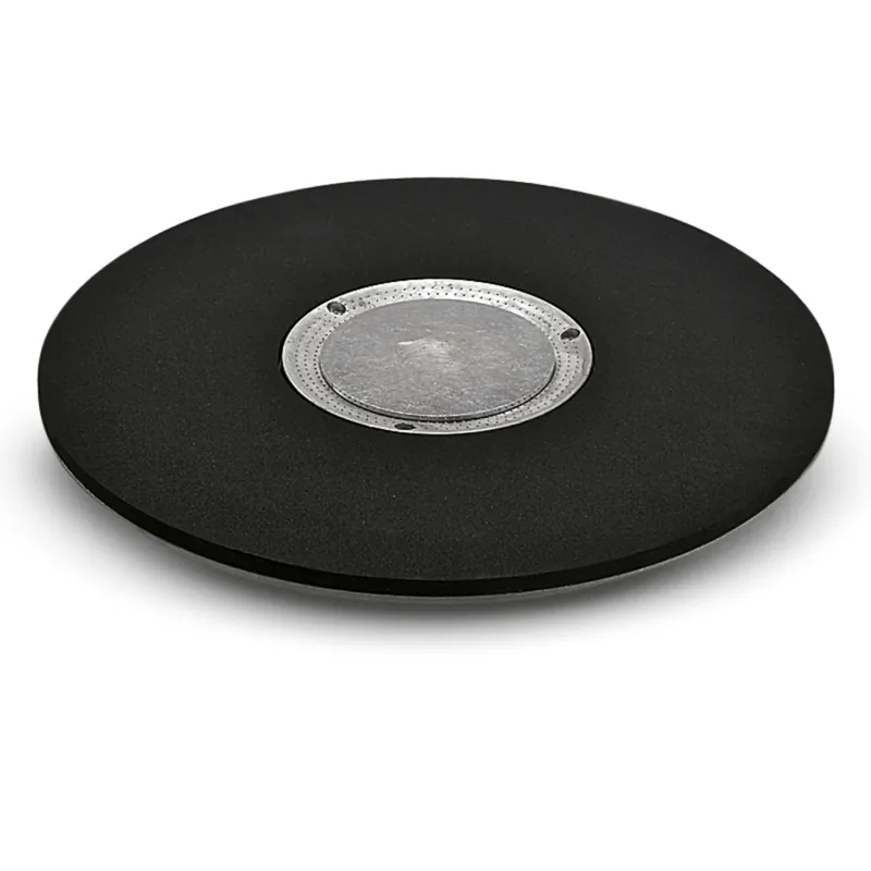 Kärcher Professional 6.369-902.0 Plateau entraîneur pour papier abrasif 430 mm
