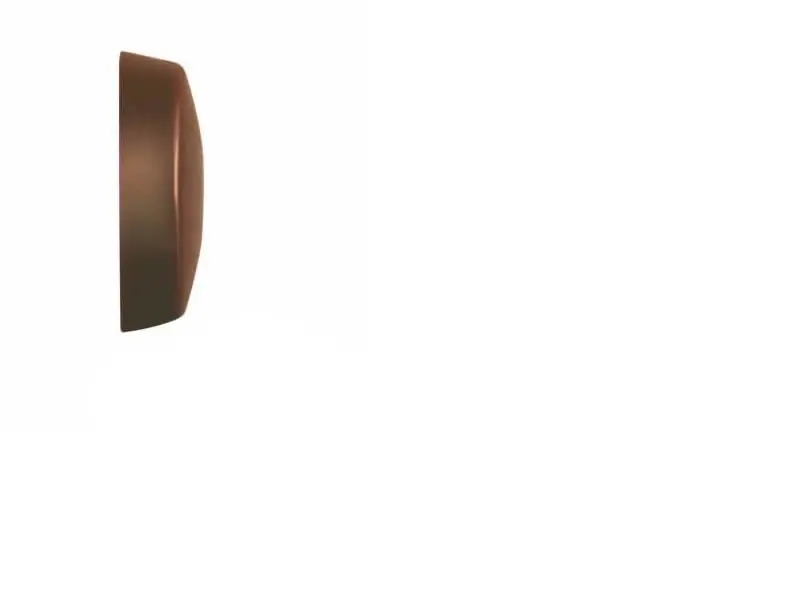 Fischer 61561 Cache pour vis de cadre FFS-A Marron foncé 100 pièces