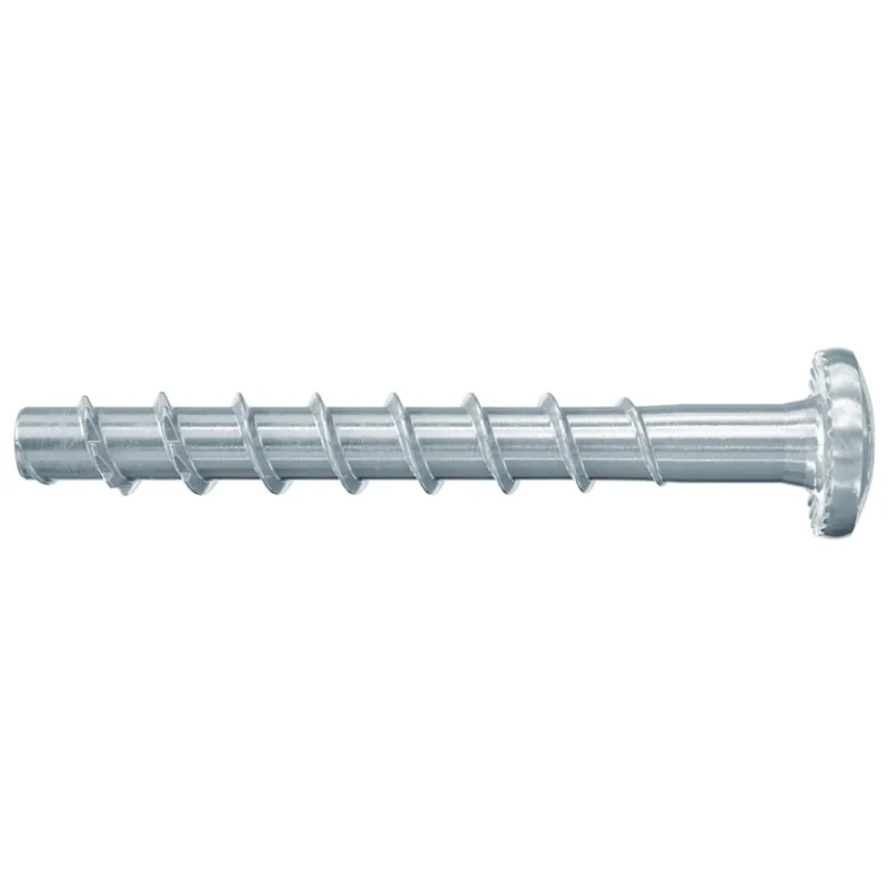 Fischer 546377 FBS II 6 x 30/5 P culasse zinguée