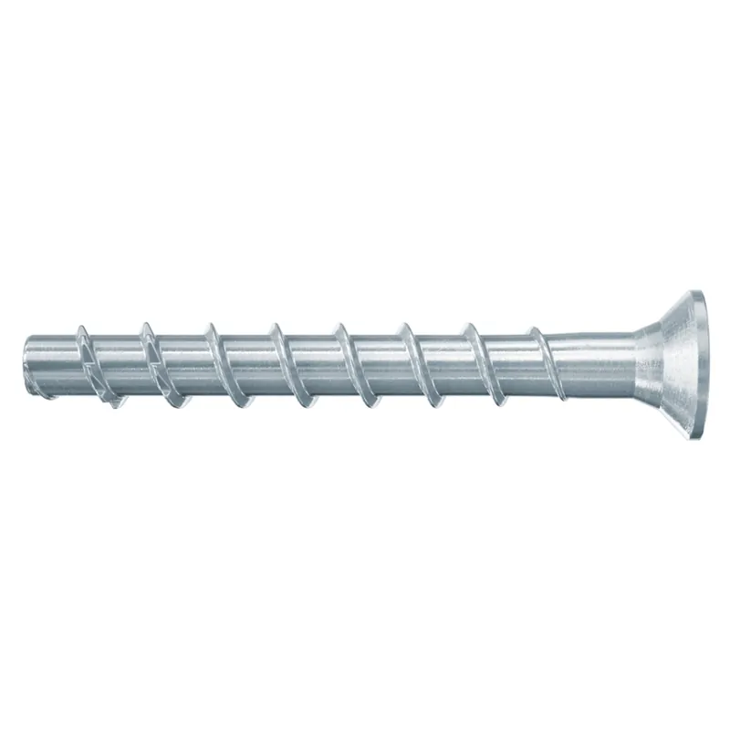 Fischer 546384 FBS II 6 x 60/5 SK Tête fraisée