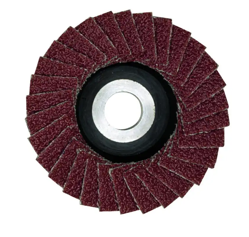 Proxxon 28590 Disque à lamelles 50 mm K100