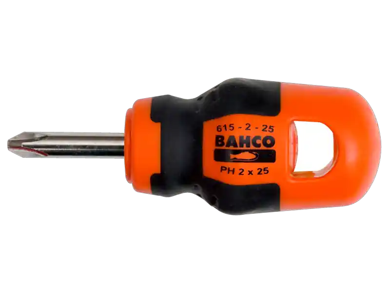 Bahco 615-2-25 615-2-215 Tournevis pour vis Phillips PH2 x 25 mm