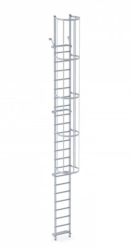 Altrex 202111 Echelle à cage avec hauteur d‘‘escalade 2.90-3.17