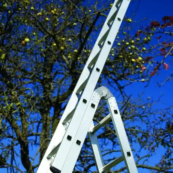 Waku 1413800112 Rallonge Waku 7 échelons pour échelle télescopique