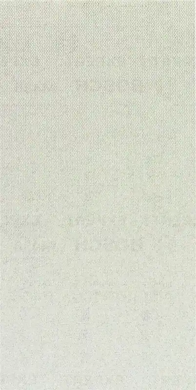 Bosch Bleu Accessoires 2608900770 Filet de ponçage Expert M480 pour ponceuses à orbite aléatoire 115 x 230 mm, K80, 50 pièces